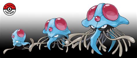 tentacruel evolution|tentacruel weakness.